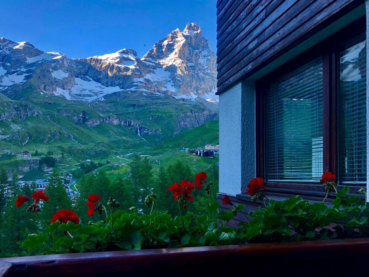 Panoramic Apartment Breuil-Cervinia Kültér fotó